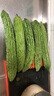 新鲜现摘绿色苦瓜当季凉瓜清脆爽口清热降火新鲜蔬菜生鲜 苦瓜 4斤 带箱 实拍图
