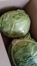 包菜新鲜卷心菜大头菜农户自种当季绿叶蔬菜绿甘蓝 绿甘蓝 5斤 实拍图