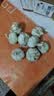 仙果春天精打细蒜 新鲜生鲜蔬菜多瓣大蒜头无添加正宗 干蒜中果250g 实拍图