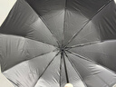 天堂 全自动晴雨伞三折 10骨加大加固安全自开收防晒遮阳伞 霁月白 实拍图