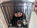 宠乐坊狗笼子加粗六面全方管家用带厕所金毛边牧拉布拉多专用室内狗笼子 亮黑六面全方管78*54*75CM含轮高度（30斤内适用） 实拍图