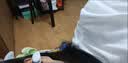 柏林之声夹耳式单耳左右耳可佩戴耳机蓝牙无线夹耳式迷你耳机随身带游戏耳机 圣洁白+海豚造型【轻松无压感】不易掉 实拍图