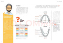 牙齿之书：如何保持一口好牙的终极指南（牙科医生写给全家人的牙齿护理手册，揭秘关于牙齿的9大谣言和55个问题，拥有一口好牙！无穷小亮的科普日常推荐） 实拍图