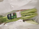 【有机】芹菜（西芹）400g 实拍图