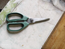 得力（deli）食品级厨房剪刀 可夹核桃 多功能家用不锈钢剪骨剪子 鸡骨剪 绿 TJ21 实拍图