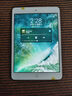 Apple苹果ipad9/10/Pro2022/21/20款 /air5/mini7/6二手平板电脑 iPad mini2 实拍图