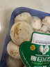 【绿色认证】鲜美白蘑菇230g 实拍图