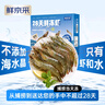 鲜京采【超28天全额退】 28天鲜冻虾 2斤装 40-60只 源头直发 北海大虾  实拍图