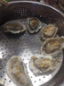 鲜京采 鲜活生蚝3XL 净重5斤 13-18只 鲜活到家 生鲜海鲜 源头直发 实拍图