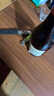 CLITON红酒啤酒开瓶器 手动开瓶器酒刀开酒器酒起子启瓶器红酒塞倒酒器 实拍图