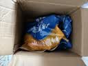 防水堵漏宝堵漏王卫生间防水涂料屋顶补漏堵漏速干水泥砂浆胶防水材料 1 KG 实拍图