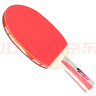 红双喜DHS一星直拍双面反胶乒乓球拍单拍成品兵兵拍H1006 实拍图