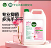 滴露（Dettol）洗手液补充装大桶消毒滋润5L 儿童家庭装杀菌护手 实拍图