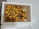 爱鲜摘农场 广东石硖储良龙眼【JD顺丰-多地次日达】石峡桂圆水果礼盒送礼 石硖龙眼｜入门必选【狠甜】 精选果丨5斤装【超值推荐】净4 实拍图
