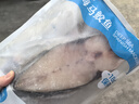 海蓝厨房 冰鲜马鲛鱼2-5斤 整条切片 海南深海冷冻马鲛鱼中段 马鲛鱼中段3斤 实拍图