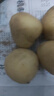 京喜加新鲜黄心土豆农家自种黄皮马铃薯黄心洋芋新鲜蔬菜 250g 实拍图