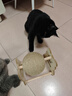 HELLOJOY逗猫咪玩具自嗨解闷猫抓板幼猫爪板小猫抓球耐抓不掉屑耐磨猫爬架 实拍图