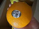 新奇士（Sunkist）澳洲黑标晚熟脐橙 大果 7斤礼盒装 单果180g起 生鲜水果礼盒 实拍图