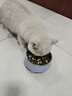 HELLOJOY不锈钢宠物食盆狗碗猫狗碗食盆水粮两用宠物碗喂食器 灰色 实拍图