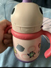babycare儿童保温杯婴儿宝宝吸管水杯霸王龙不锈钢保温杯300ml-新旧款混发 实拍图