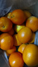 玖原农珍 赣南脐橙当季采摘优选橙子年货礼盒水果 净重9斤普通箱优选果150-200g 实拍图