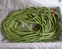 【超市品质】新鲜农家长豆角豇豆角腌制泡菜早餐生鲜蔬菜豆角子 产地直发现摘 2斤 实拍图