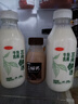 三元 鲜活 有机牛乳450mL/瓶 高温杀菌纯牛奶 低温奶 可追溯 实拍图