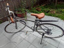 凤凰（Phoenix）公路自行车男女成人禧玛诺变速复古青少年学生平把公路赛车FR202 钢架700C-禧玛诺7速-玻璃灰 700C【建议身高160-190CM】 实拍图