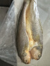 黄小渔宁德黄鱼鲞400g/2条 三去大黄鱼黄花鱼生鲜 海鲜水产烧烤鱼类 实拍图