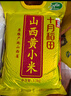 十月稻田 山西黄小米 5斤 五谷杂粮 粗粮 早餐小米粥 2.5kg 实拍图