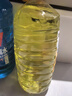 LOCKCLEAN汽车防冻玻璃水冬季零下40度专用去油膜镀膜驱水融雪去污清洁剂 强去油膜_强去虫胶 0℃1.3L*4瓶 实拍图