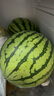 京鲜生 无籽麒麟大西瓜 1粒装 7-9斤 生鲜水果 实拍图