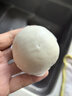 避风塘奶黄包 840g/24只 速冻包子 港式早茶点心面食早餐食品速食面点  实拍图