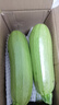 新鲜西葫芦角瓜新鲜蔬菜三月瓜 新鲜西葫芦 4斤 带箱 实拍图