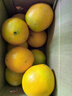 京觅 江西赣南脐橙4.5斤净重橙子单果160g纽荷尔甜橙新鲜水果源头直发 实拍图