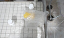 舒肤佳香皂12块皂(纯白4+柠檬4+芦荟4)肥皂 99.9%除菌 新旧包装随机 实拍图