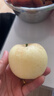 山东烟台黄金奶油富士苹果脆甜冰糖心很像维纳斯苹果 带箱5斤净4.5斤75果 实拍图