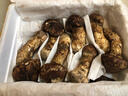 森吉尼达【现货】香格里拉新鲜松茸现采现发野出口级未开伞生云南松茸菌菇 松茸 9-12cm精品装 500g 实拍图