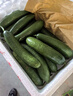 京鲜生 山东荷兰水果黄瓜净重5斤 单果70g+ 健康轻食早餐 源头直发 实拍图