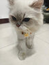 猫绳牵引绳伸缩5米项圈防挣脱猫咪外出溜遛猫绳链子兔宠物胸背TS5 实拍图