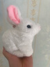 卡卡贝儿儿童玩具女孩毛绒玩偶兔子仿真动物电动宠物1-3岁男宝宝生日礼物 实拍图