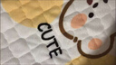 一棉缘（cottonfaith）A类牛奶绒床垫褥子 学生宿舍单人加厚保暖软垫被褥毛毯0.9x2米 实拍图