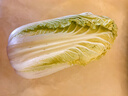 【霜打菜】三宝白菜650g(大娃娃菜) 实拍图