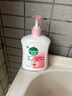 滴露（Dettol）洗手液滋润500g*6 抑菌洗手液家庭装大桶儿童消毒无酒精温和护手 实拍图