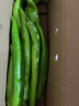 新鲜青尖椒超市生鲜蔬菜下饭菜虎皮尖椒鸡蛋伴侣 尝鲜 500g 含箱 实拍图