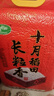 十月稻田 2025年新米 长粒香大米 20斤（东北大米 香米 10公斤） 实拍图