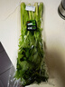 【有机】芹菜（西芹）400g 实拍图