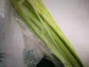 【24小时菜】大芹菜约400g 实拍图