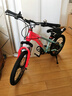凤凰山地自行车男女变速山地车碟刹青少年儿童自行车学生单车 星际 蓝玫【变速+辐条轮】 18寸【适合120-155cm】 实拍图