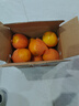 京鲜生 湖北秭归鲜橙净重4.5斤 单果170g+ 生鲜水果 源头直发包邮 实拍图